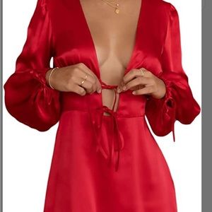 Red Amazon Silk Dress